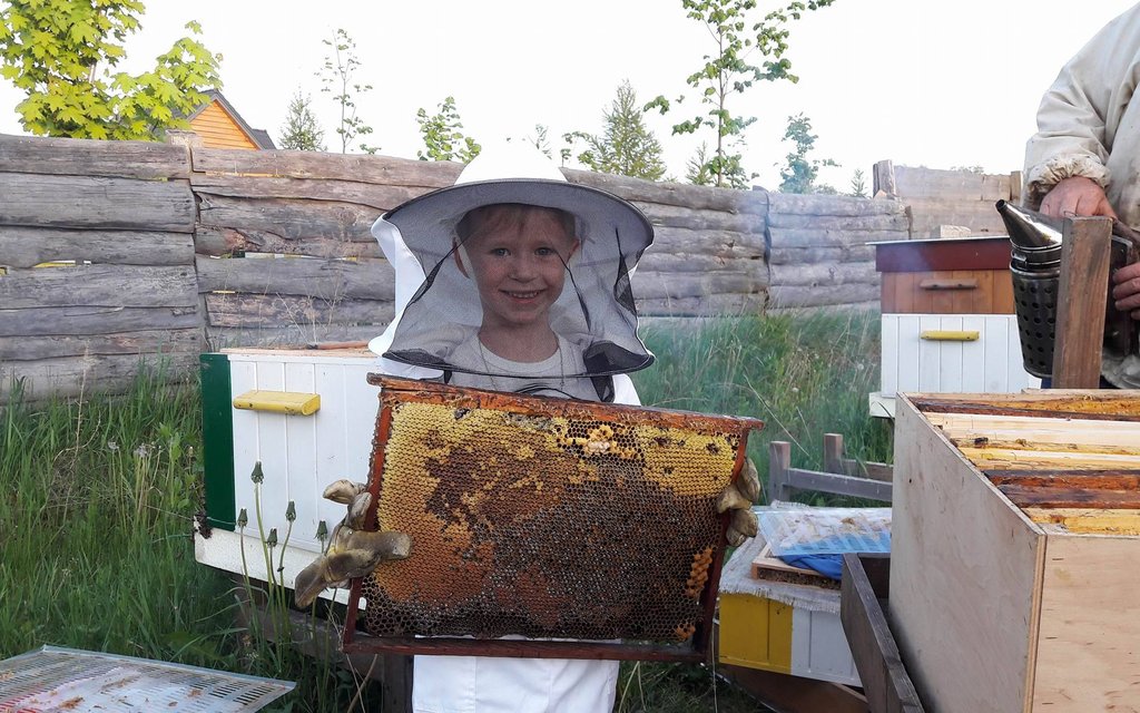 Pasieka nad stawem