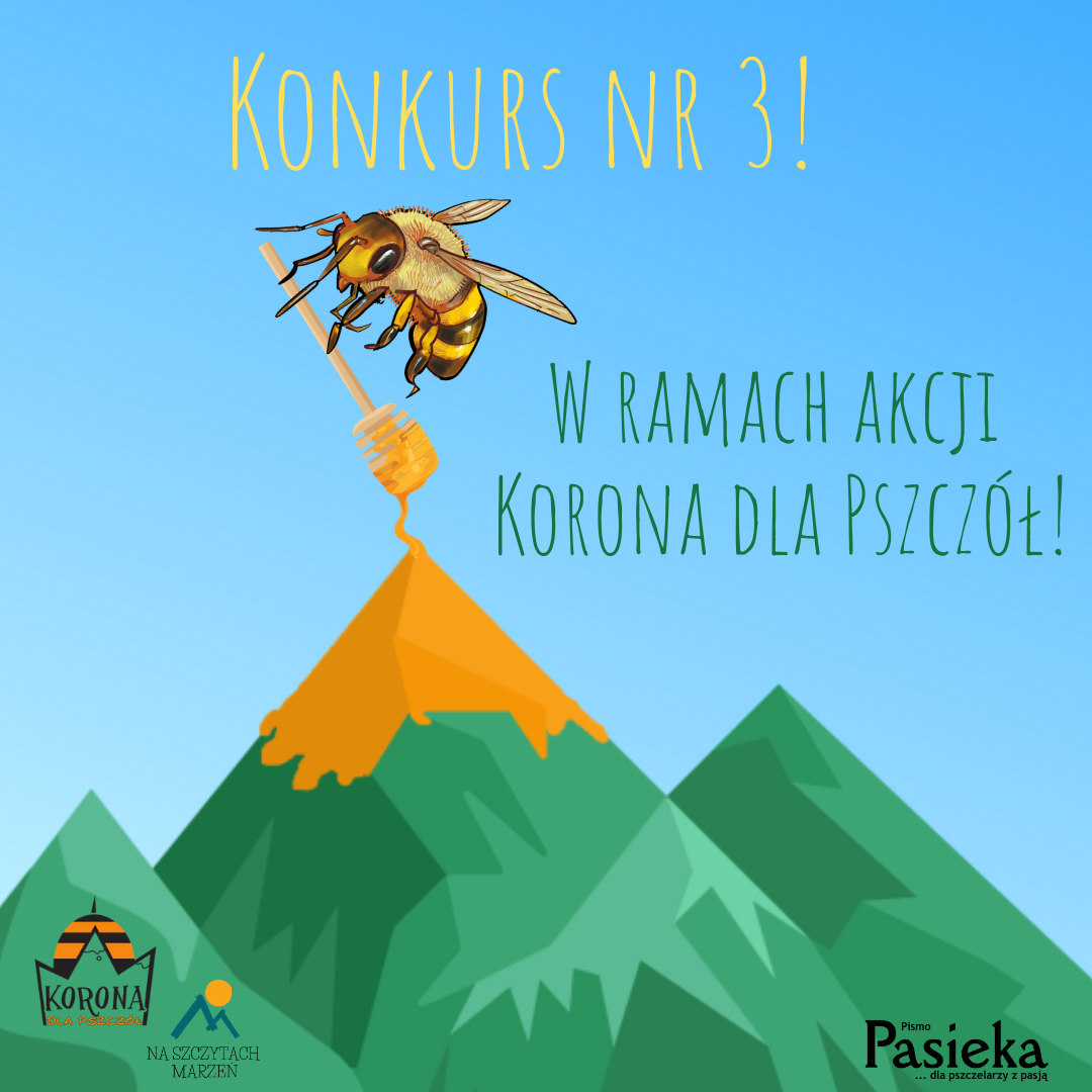 Konkurs nr 3