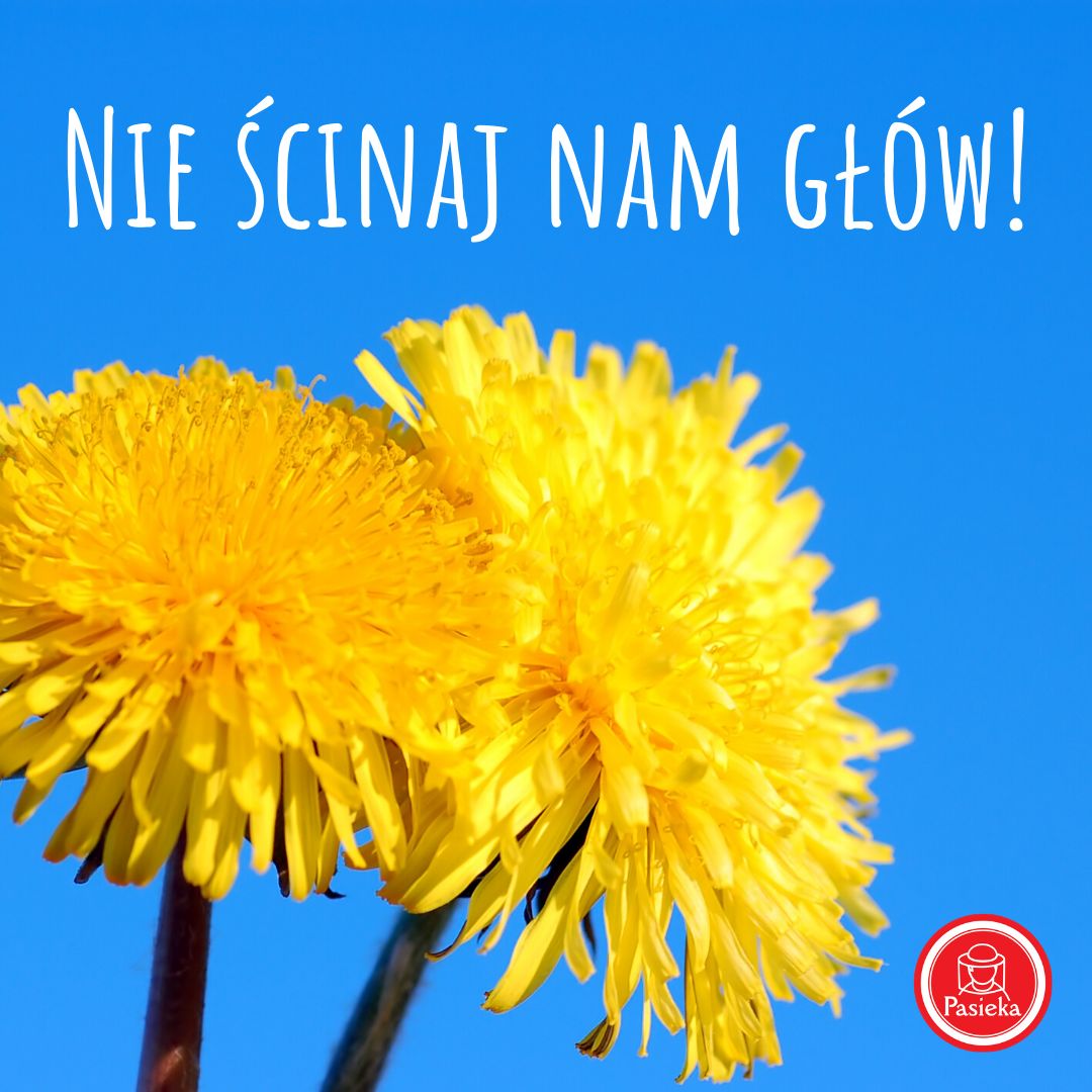 Nie scinaj nam glow