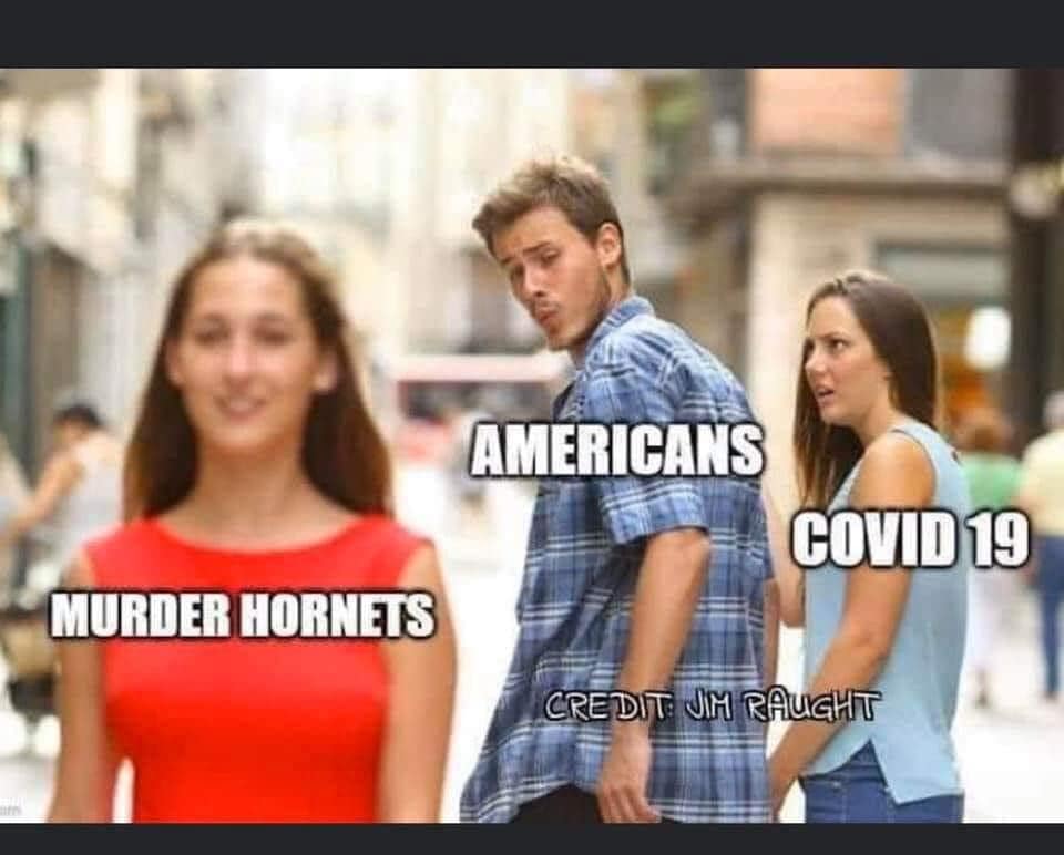 szerszen i covid