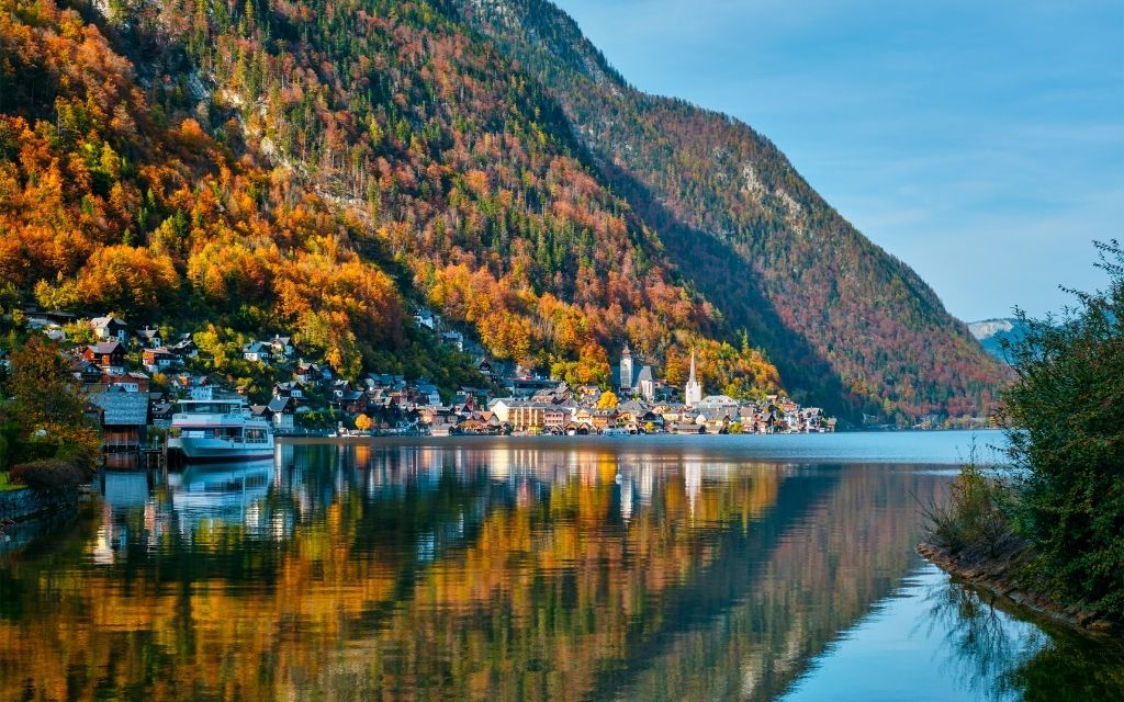 Austria pszczoły