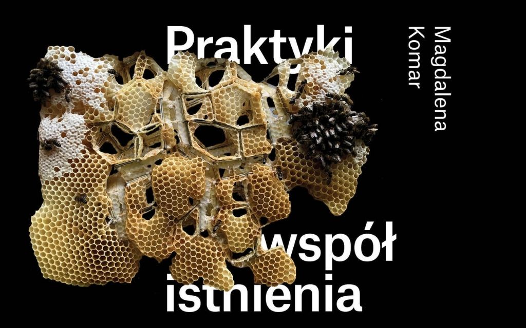 praktyki współistnienia