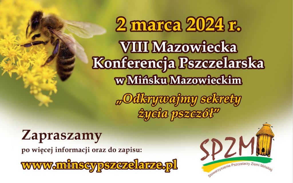 Mińska konferencja