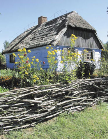Pszczelarstwo ekologiczne. Z korzyścią dla wszystkich