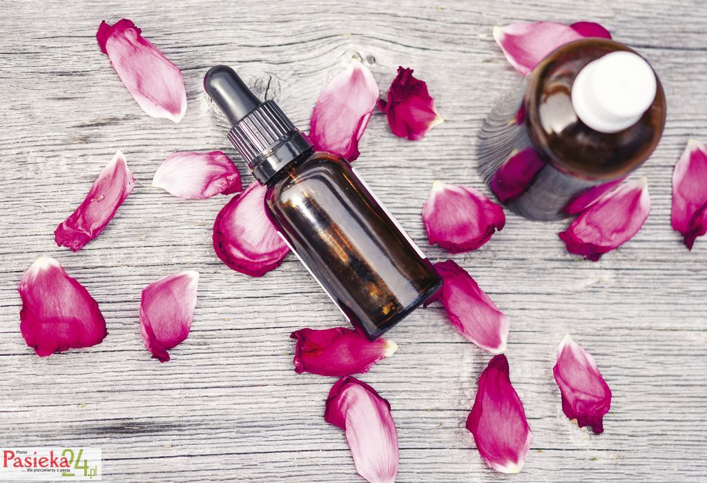 essential-oils-2535611