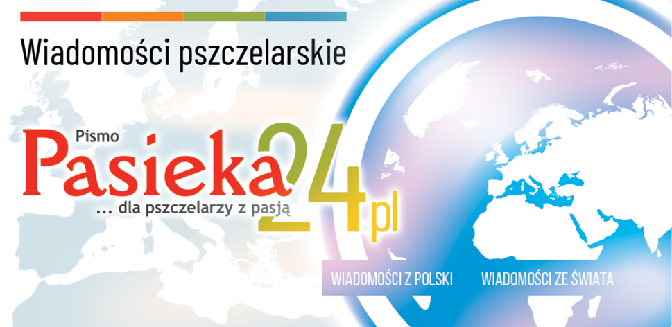 W telegraficznym skrócie
