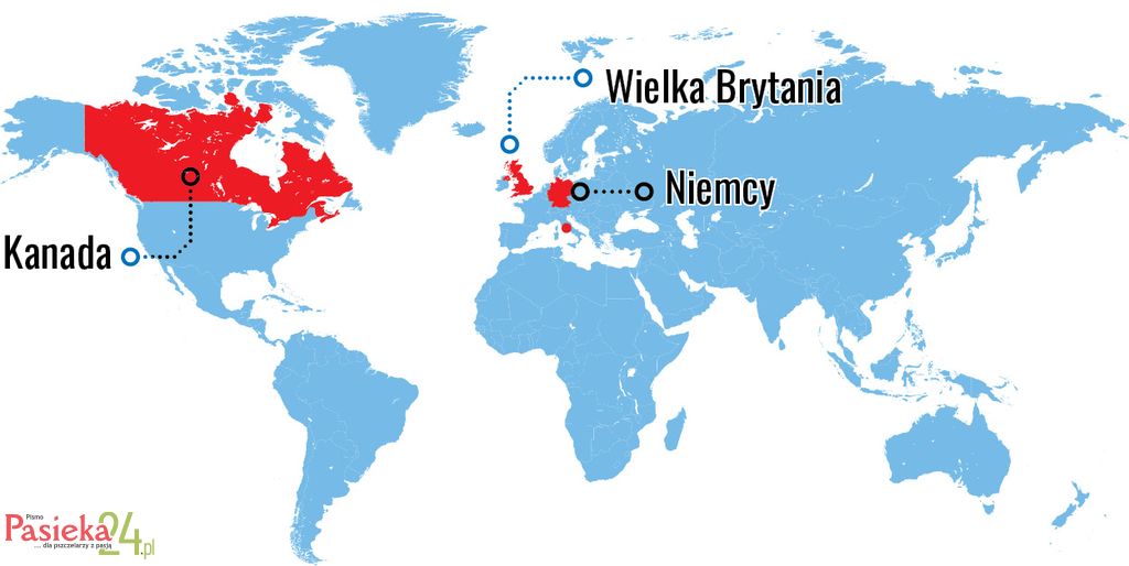 W telegraficznym skrócie