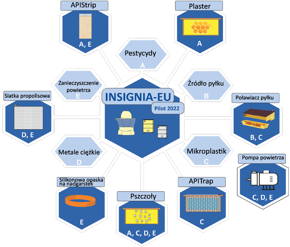 INSIGNIA-EU: nauka obywatelska i pszczoły pomagają monitorować zanieczyszczenie środowiska - Anna Gajda i konsorcjum INSIGNIA-EU
