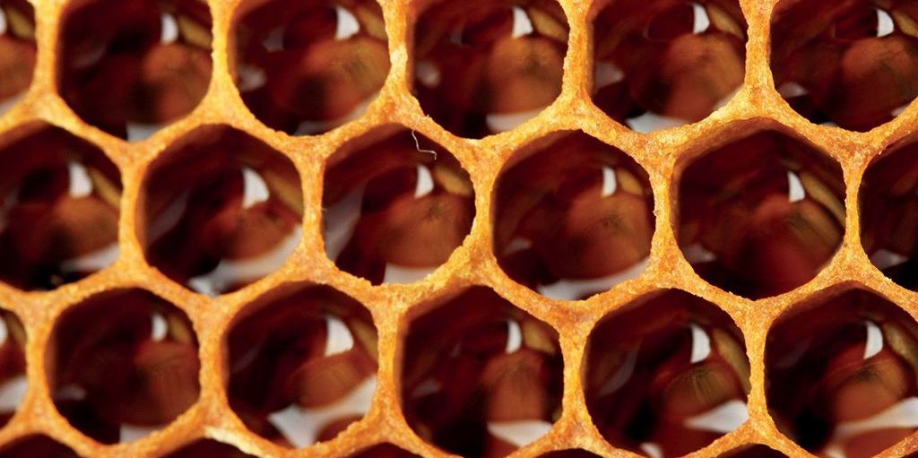 Zastosowanie miodu w żywieniu i dietetyce. Miód jako komponent produktów spożywczych, cz. 1.