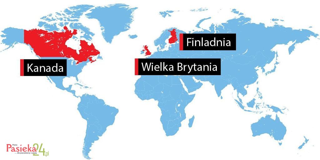 W telegraficznym skrócie