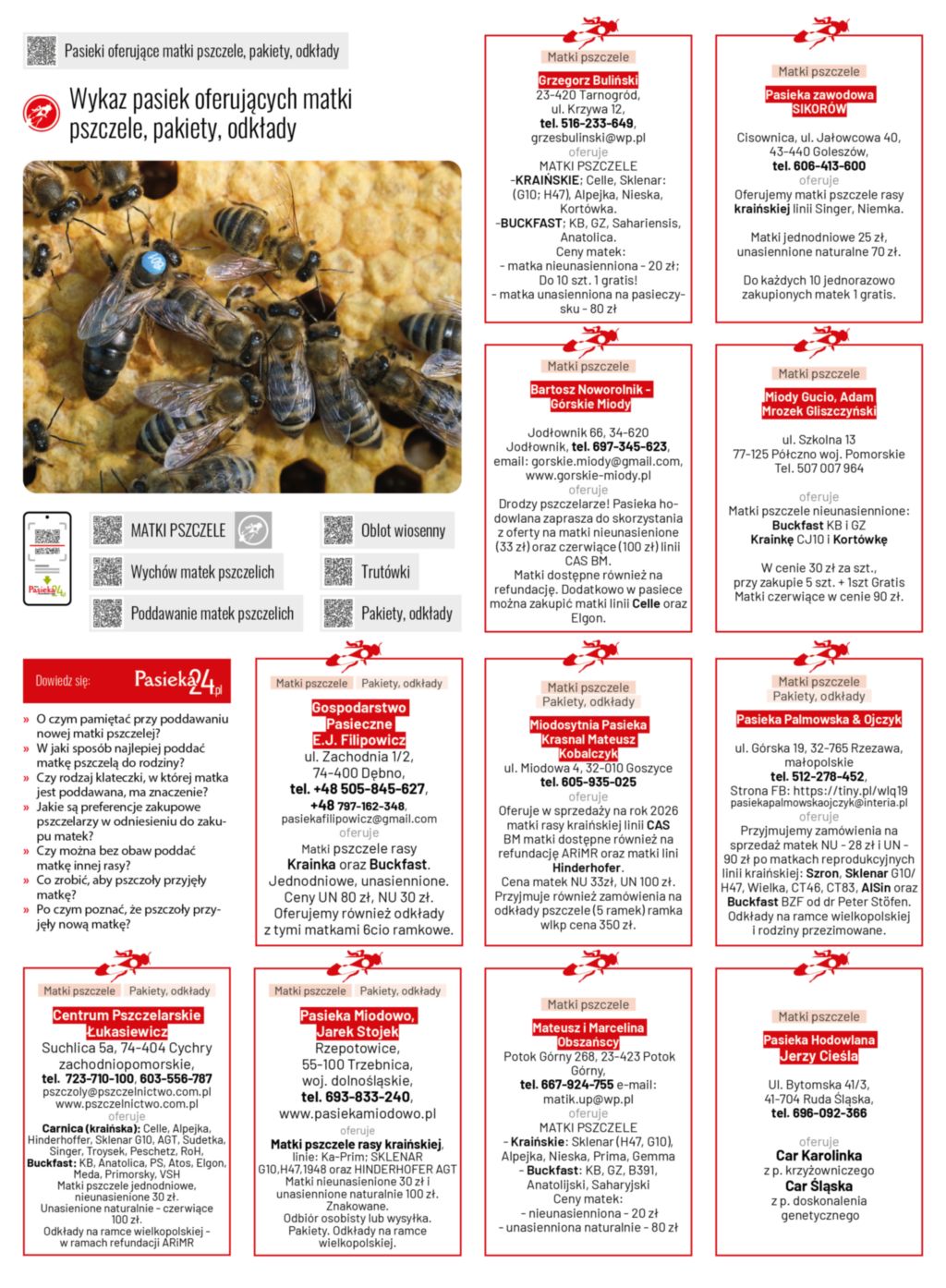 Wykaz pasiek oferujących matki pszczele, pakiety, odkłady (maj-czerwiec 2026)