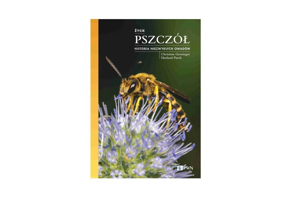książka życie pszczół